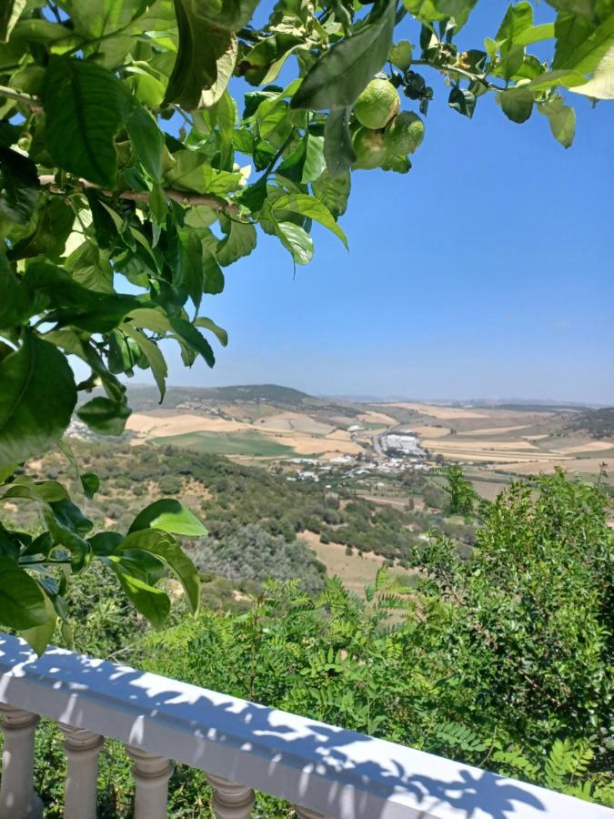 Nuevo Loft El Carpintero Lägenhet Vejer de la Frontera Exteriör bild